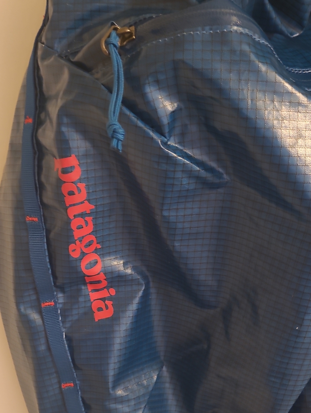Patagonia Black Lightweight Roll-Top Pack